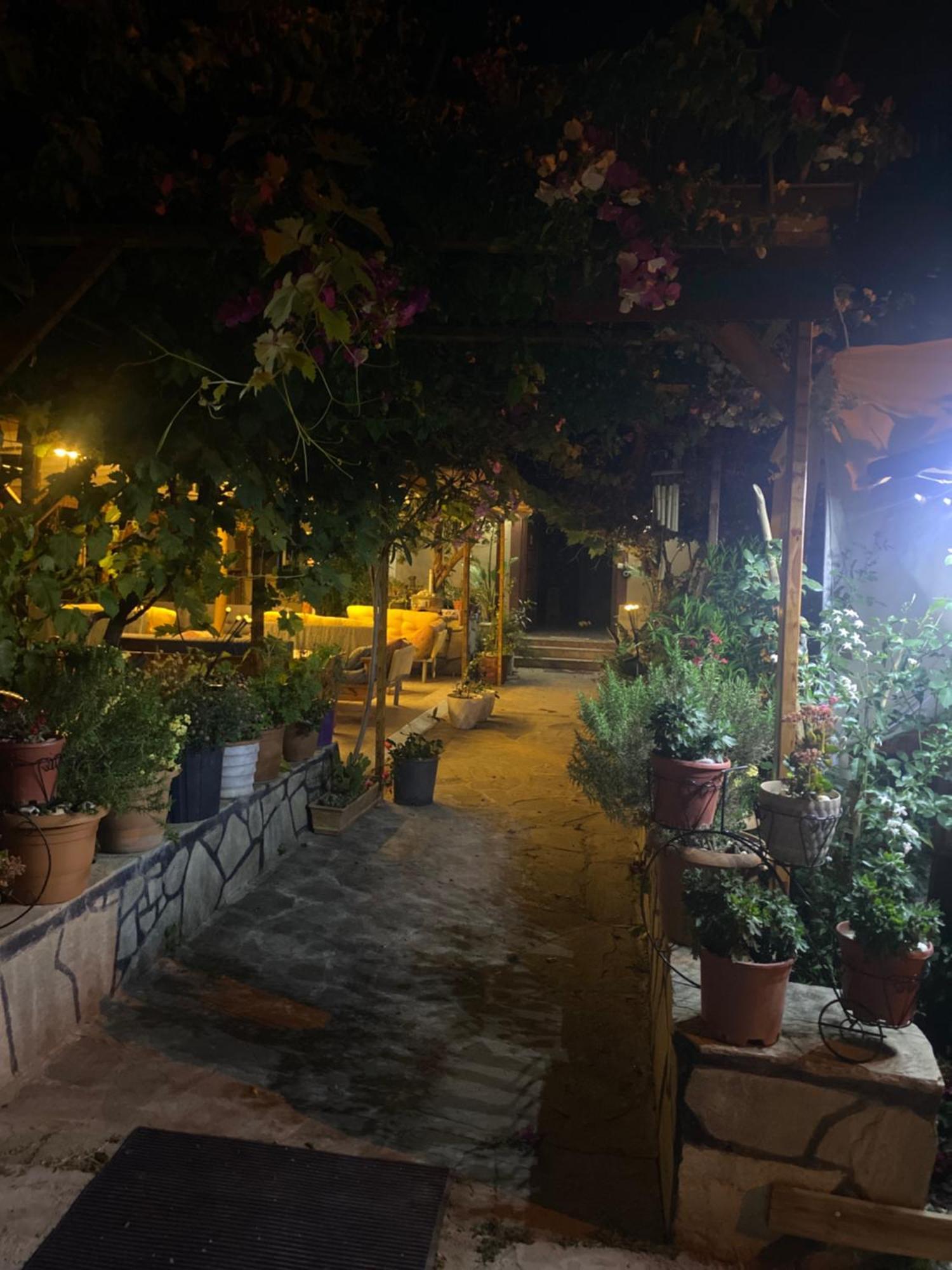 迷迭香住宿加早餐旅馆 Çıralı 外观 照片