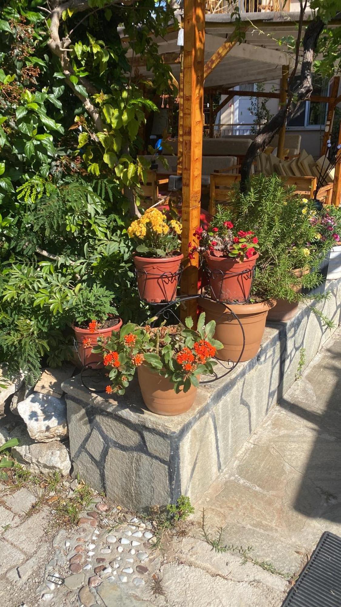 迷迭香住宿加早餐旅馆 Çıralı 外观 照片