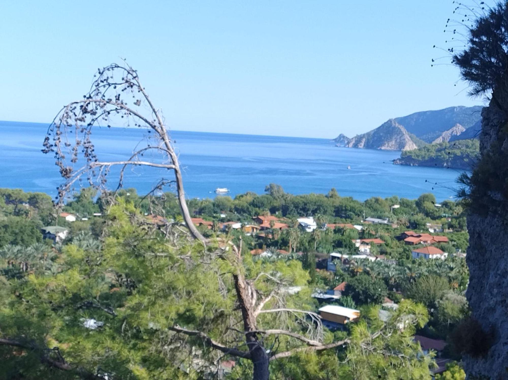迷迭香住宿加早餐旅馆 Çıralı 外观 照片