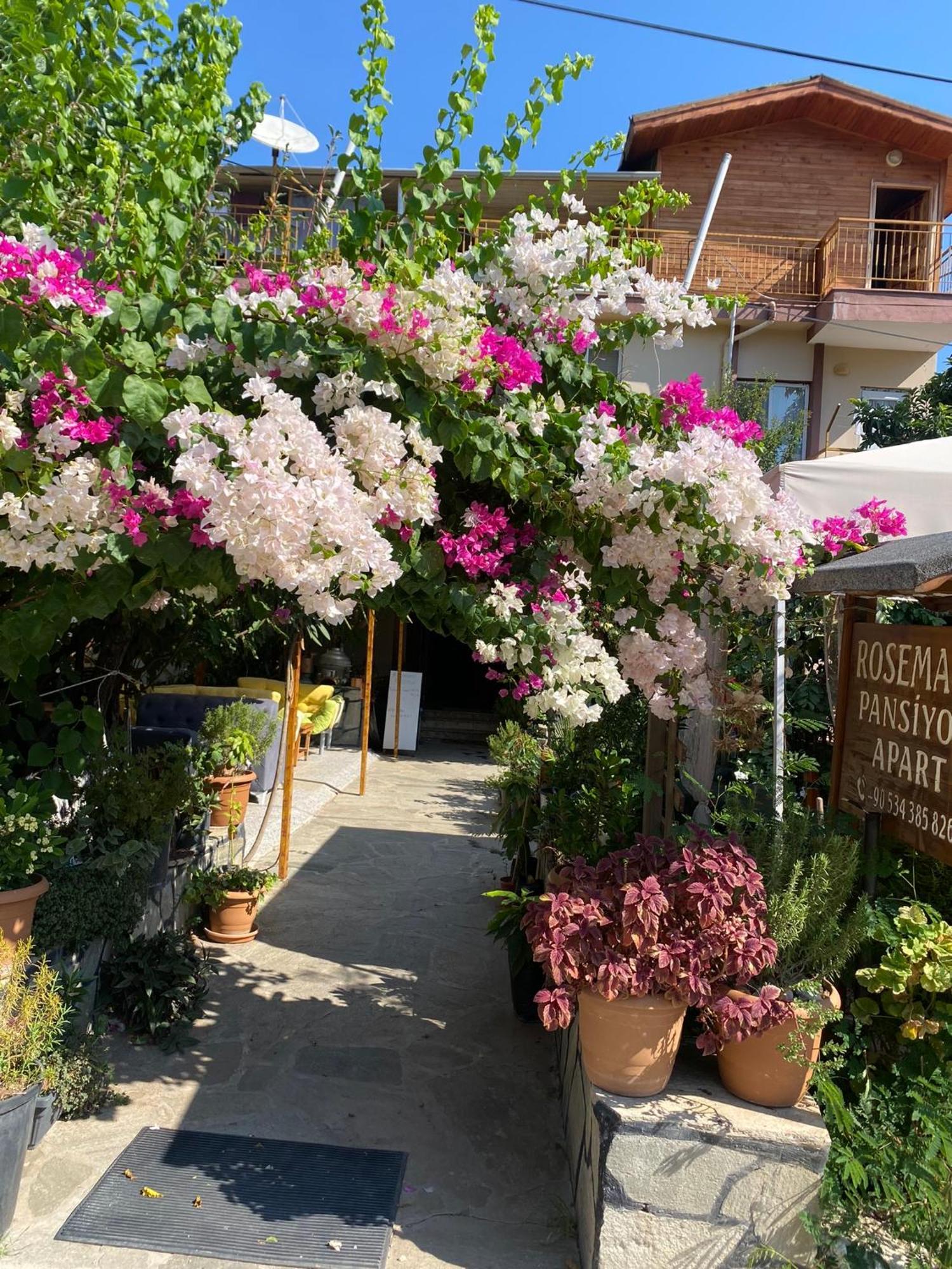 迷迭香住宿加早餐旅馆 Çıralı 外观 照片